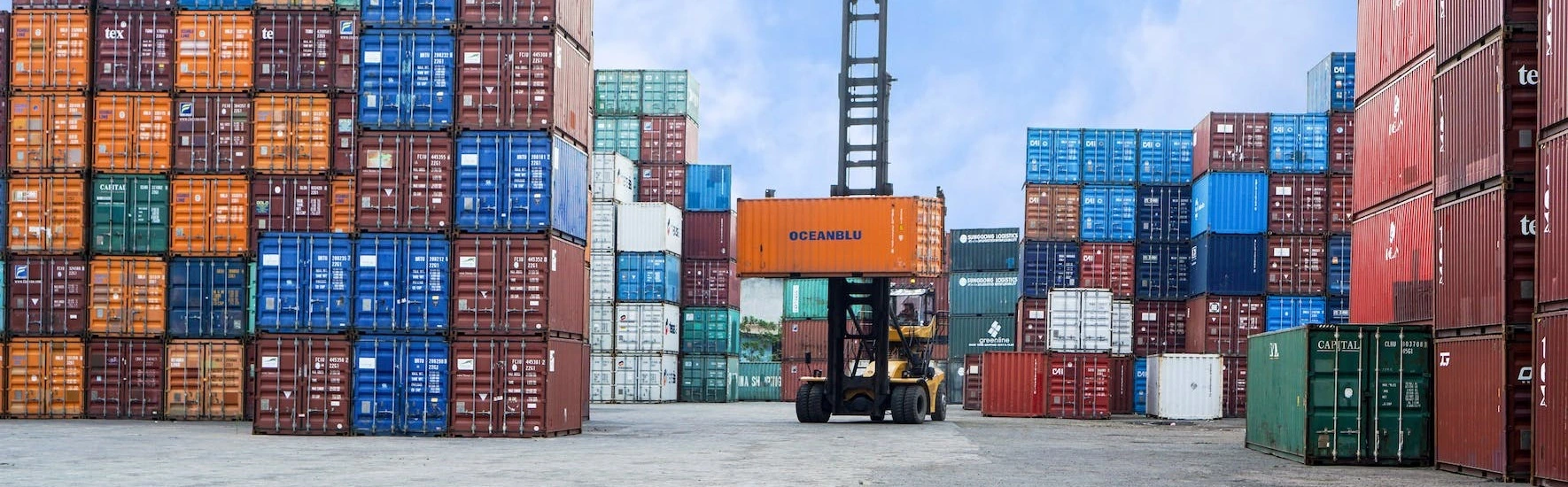 International Transport Organization